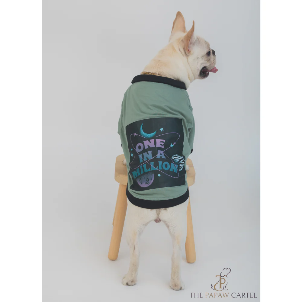 The Papaw Cartel One In A Million Polo Tshirt for Dogs (Sage Green) - Image 9