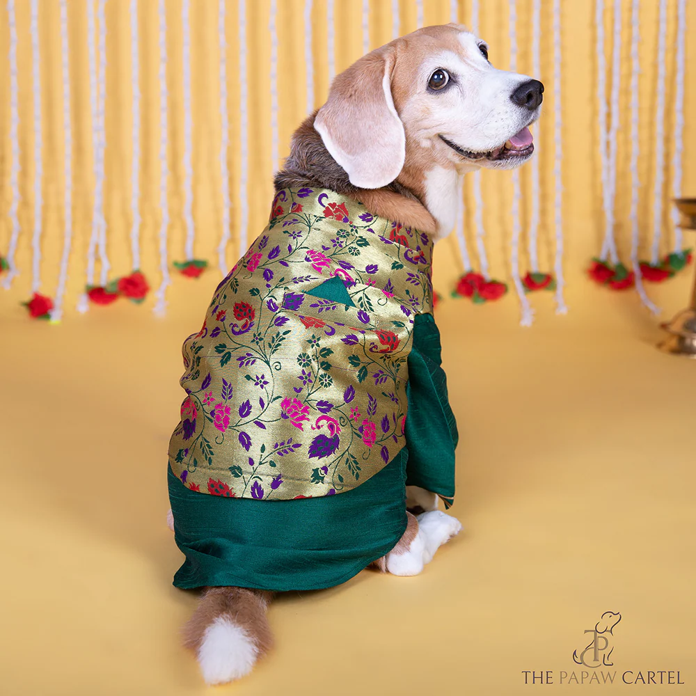 The Papaw Cartel Paithani Koti Kurta for Dogs & Cats (Green) - Image 3