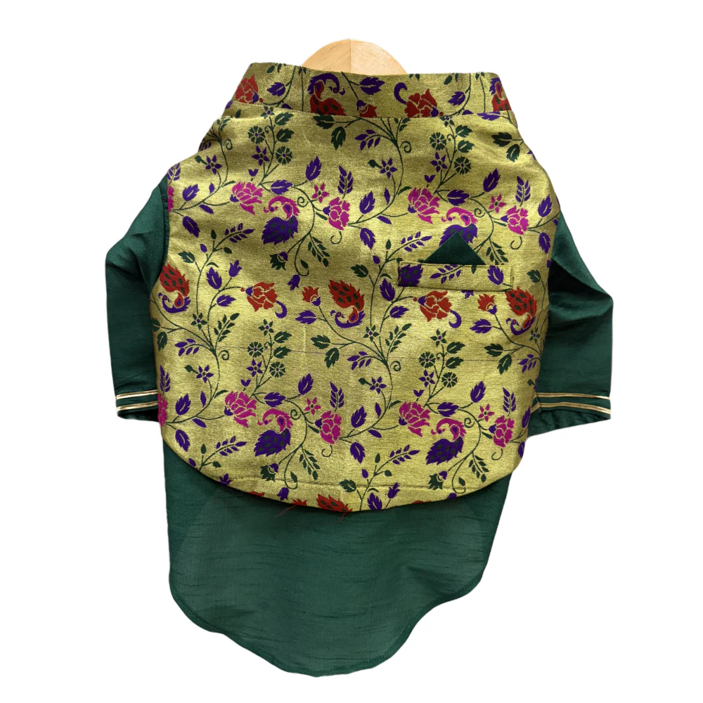The Papaw Cartel Paithani Koti Kurta for Dogs & Cats (Green) - Image 5