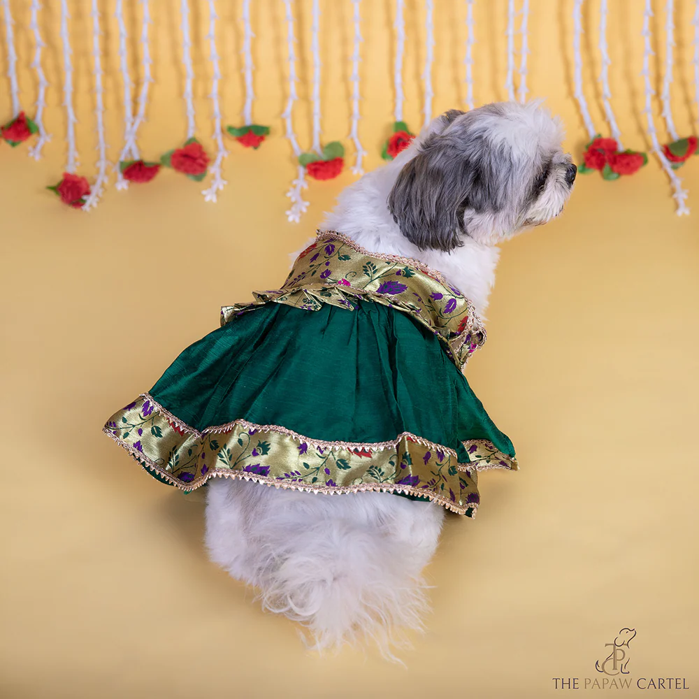 The Papaw Cartel Paithani Tie Up Dress with Gotapati for Dogs & Cats (Green) - Image 3