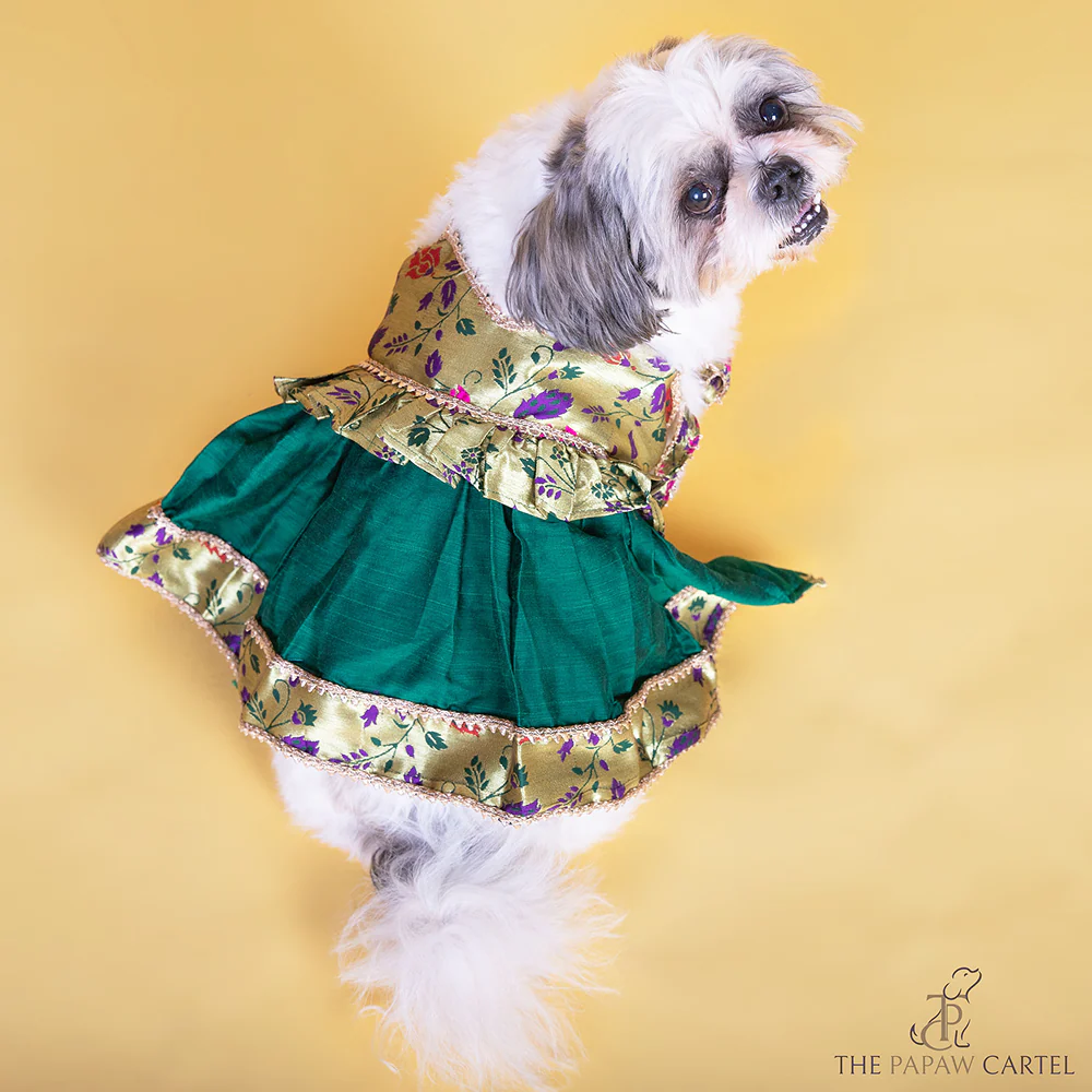 The Papaw Cartel Paithani Tie Up Dress with Gotapati for Dogs & Cats (Green) - Image 4