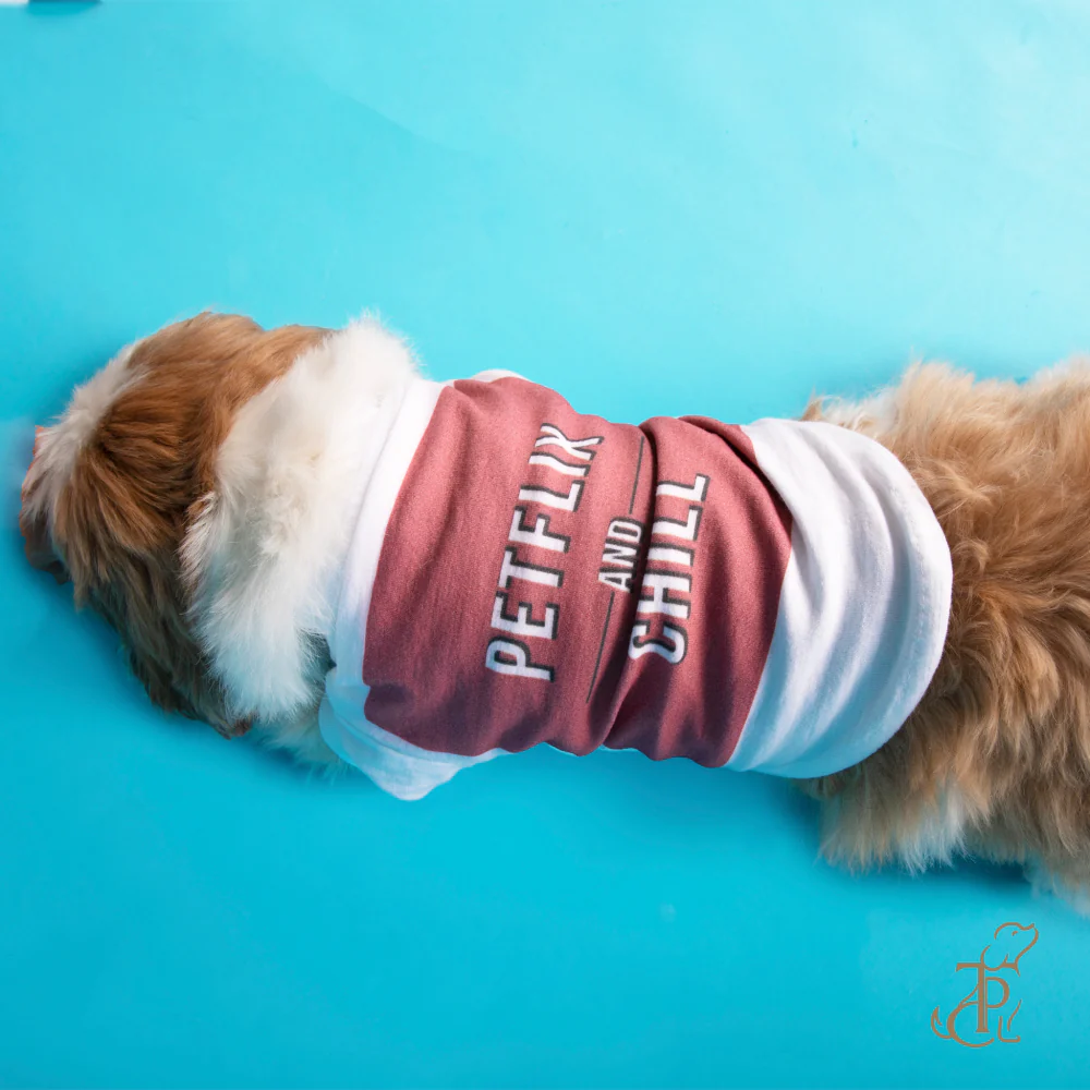 The Papaw Cartel Petflix and Chill Tshirt for Dogs (White) - Image 3