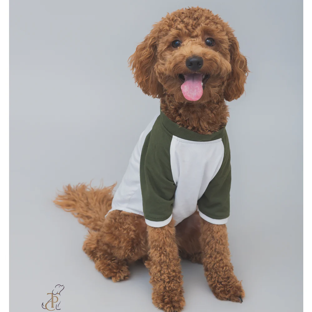 The Papaw Cartel Puppacino Dog Tshirt for Dogs (White/Olive/Green) - Image 3