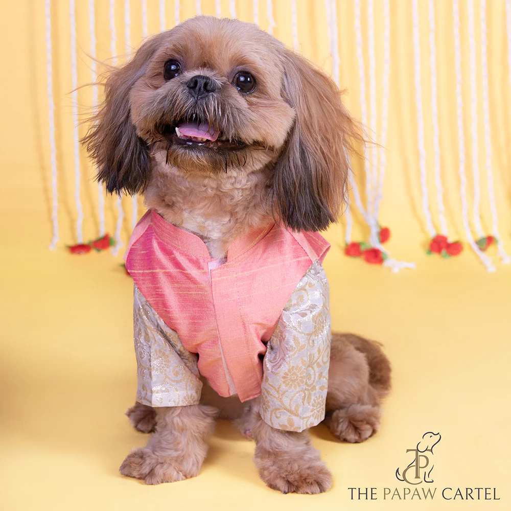 The Papaw Cartel Raw Silk Ethnic Koti with White Banarasi Kurta for Dogs & Cats (Pink) - Image 3