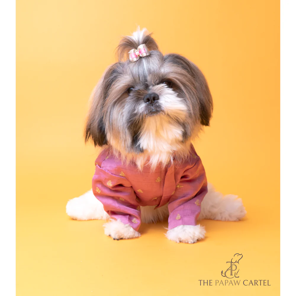 The Papaw Cartel Sequin Embroidered Sherwani For Dogs (Onion Pink) - Image 2