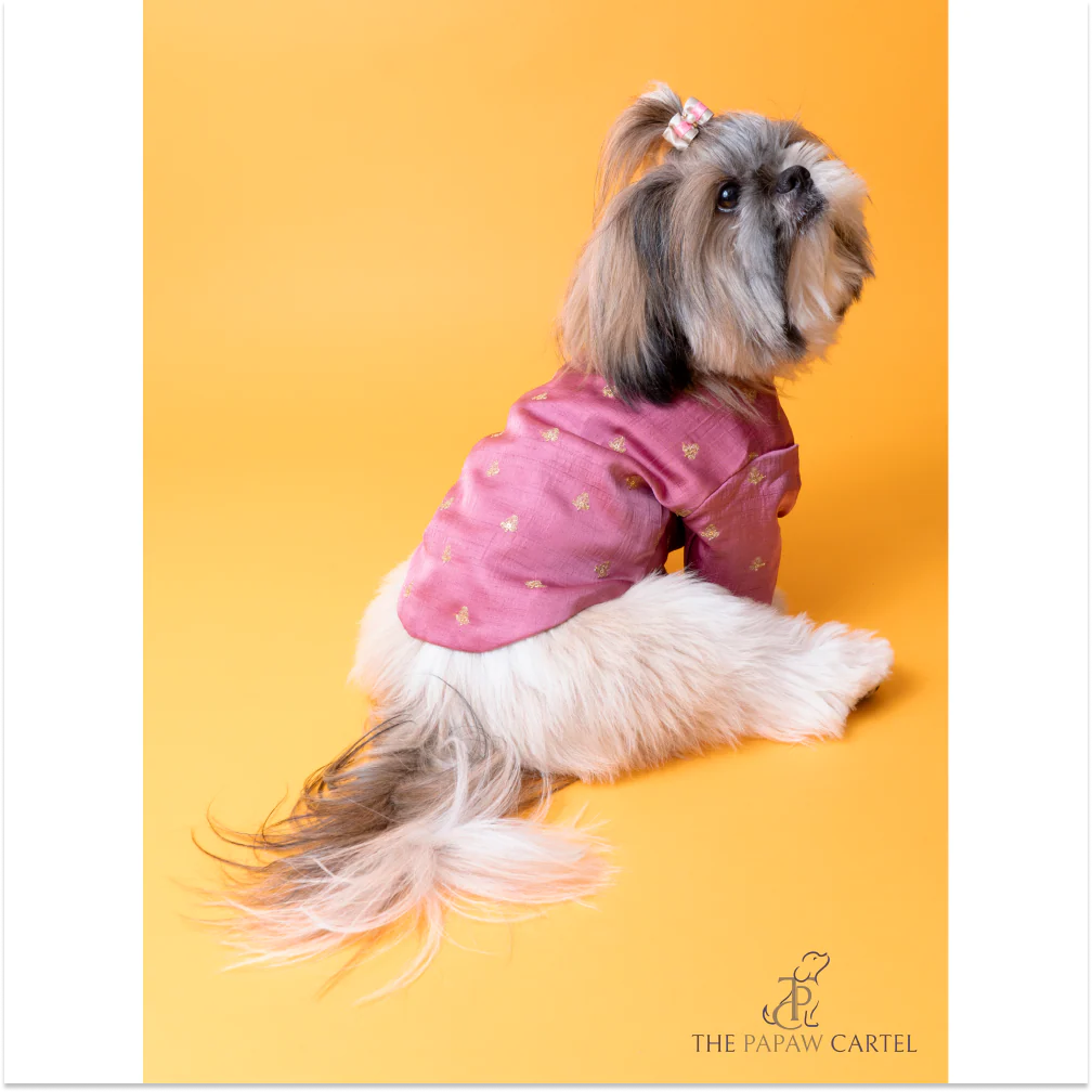 The Papaw Cartel Sequin Embroidered Sherwani For Dogs (Onion Pink) - Image 3
