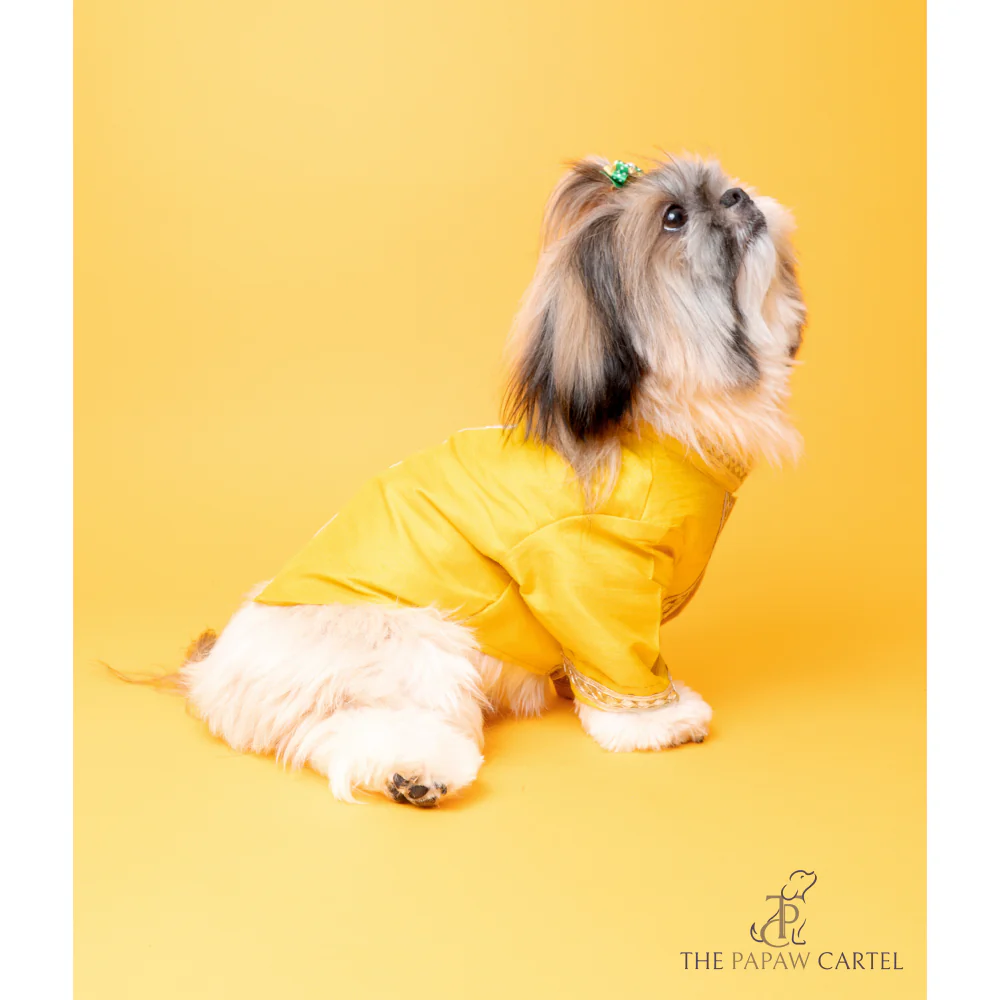 The Papaw Cartel Silk Gotapati Kurta For Dogs (Yellow) - Image 2