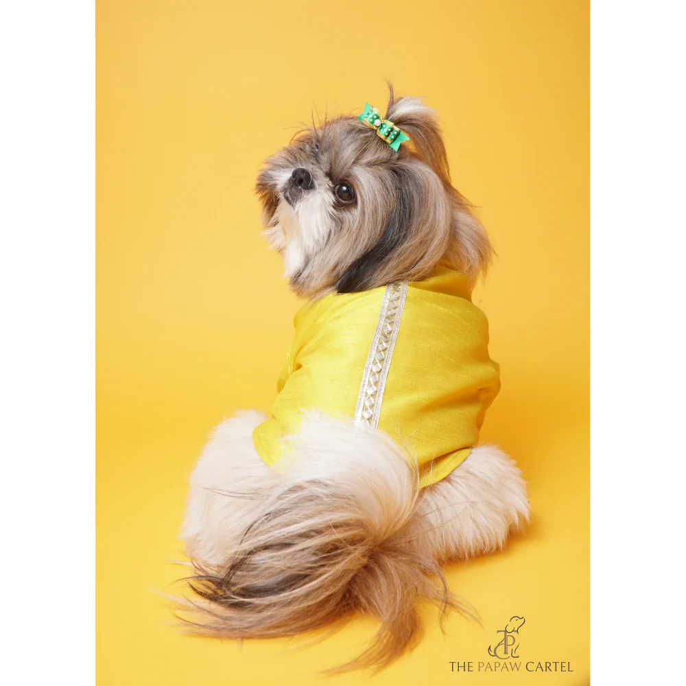 The Papaw Cartel Silk Gotapati Kurta For Dogs (Yellow) - Image 3