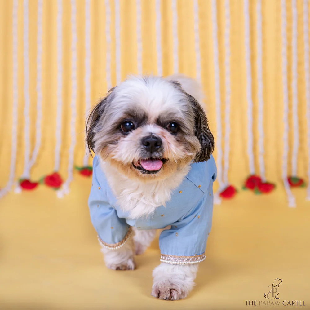 The Papaw Cartel Soft Cotton Embellished Koti Kurta for Dogs & Cats (Powder Blue) - Image 3