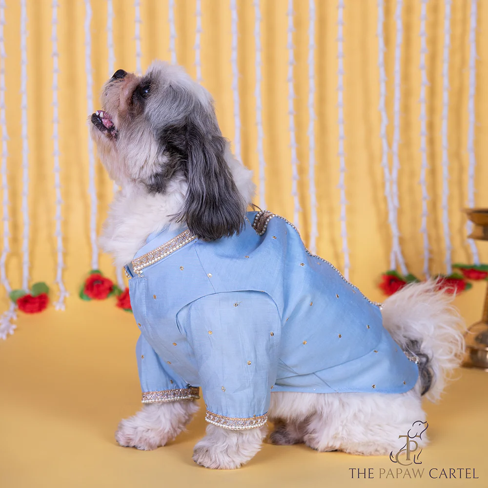 The Papaw Cartel Soft Cotton Embellished Koti Kurta for Dogs & Cats (Powder Blue) - Image 4