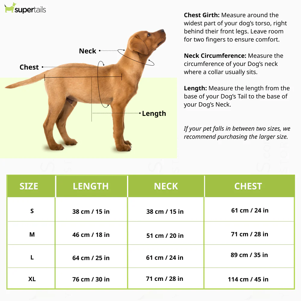 The Papaw Cartel Space Dino With Spike Hoodie Shirt for Dogs (Blue) - Image 2