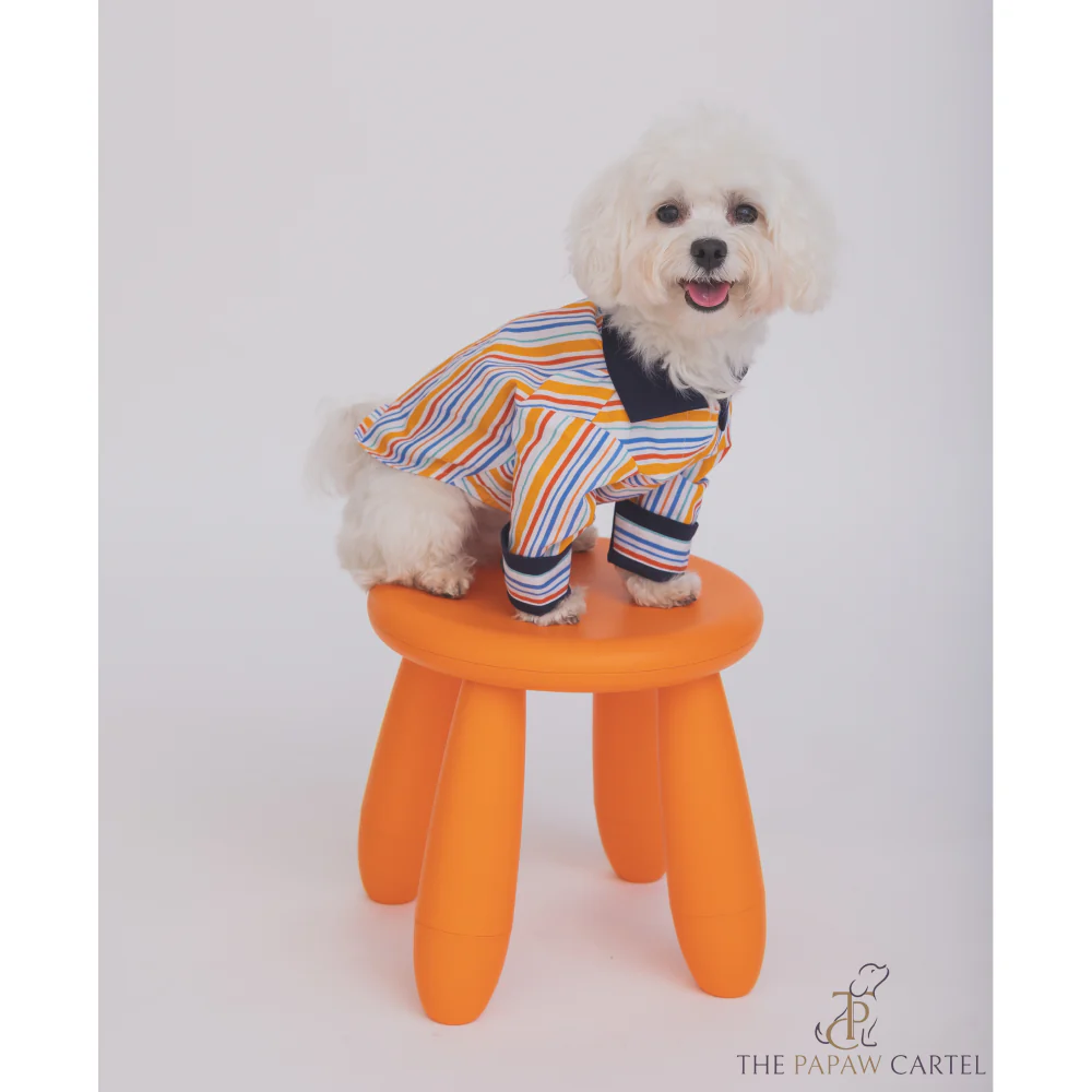 The Papaw Cartel Stripe Shirt for Dogs (Multicolor) - Image 4