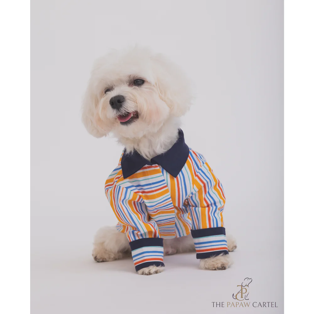 The Papaw Cartel Stripe Shirt for Dogs (Multicolor) - Image 5