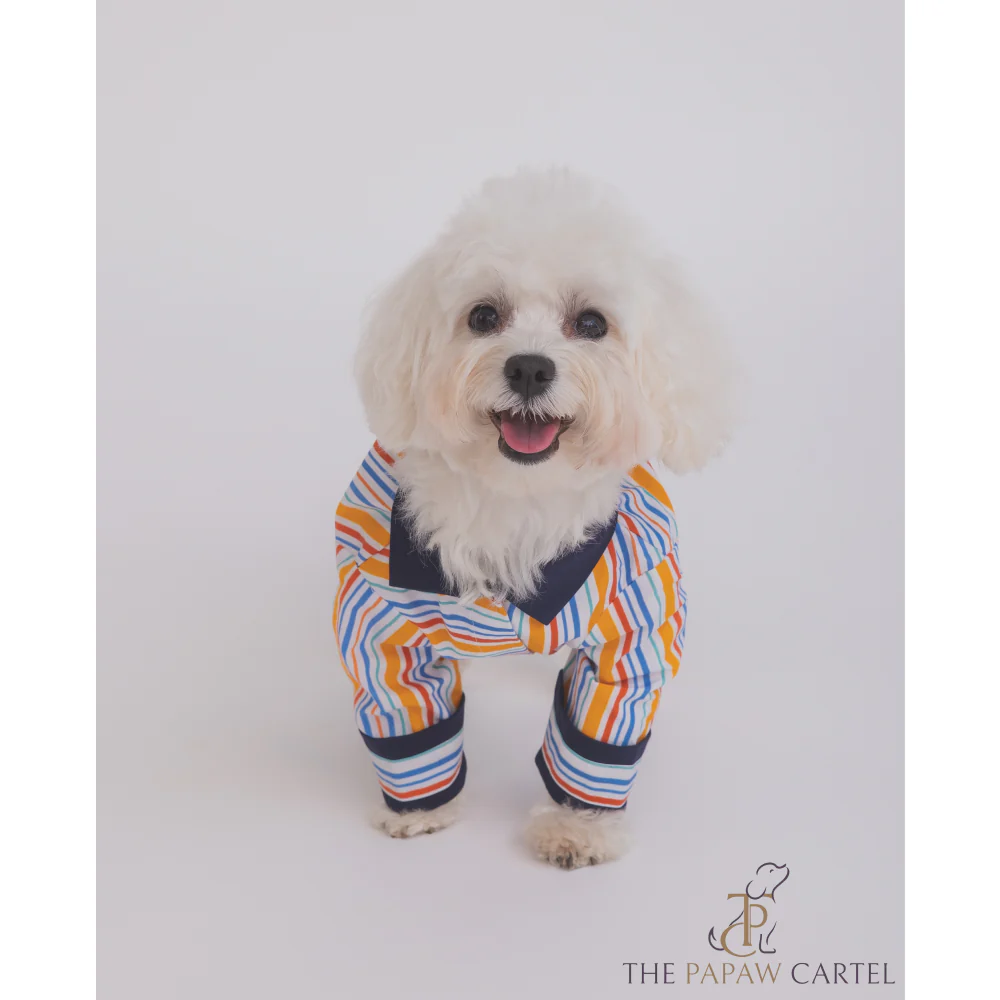 The Papaw Cartel Stripe Shirt for Dogs (Multicolor) - Image 6