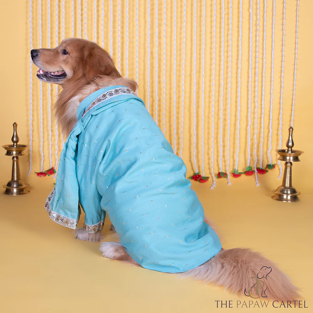 The Papaw Cartel Stylish Zardos Sherwani with Dupatta for Dogs & Cats (Blue) - Image 3