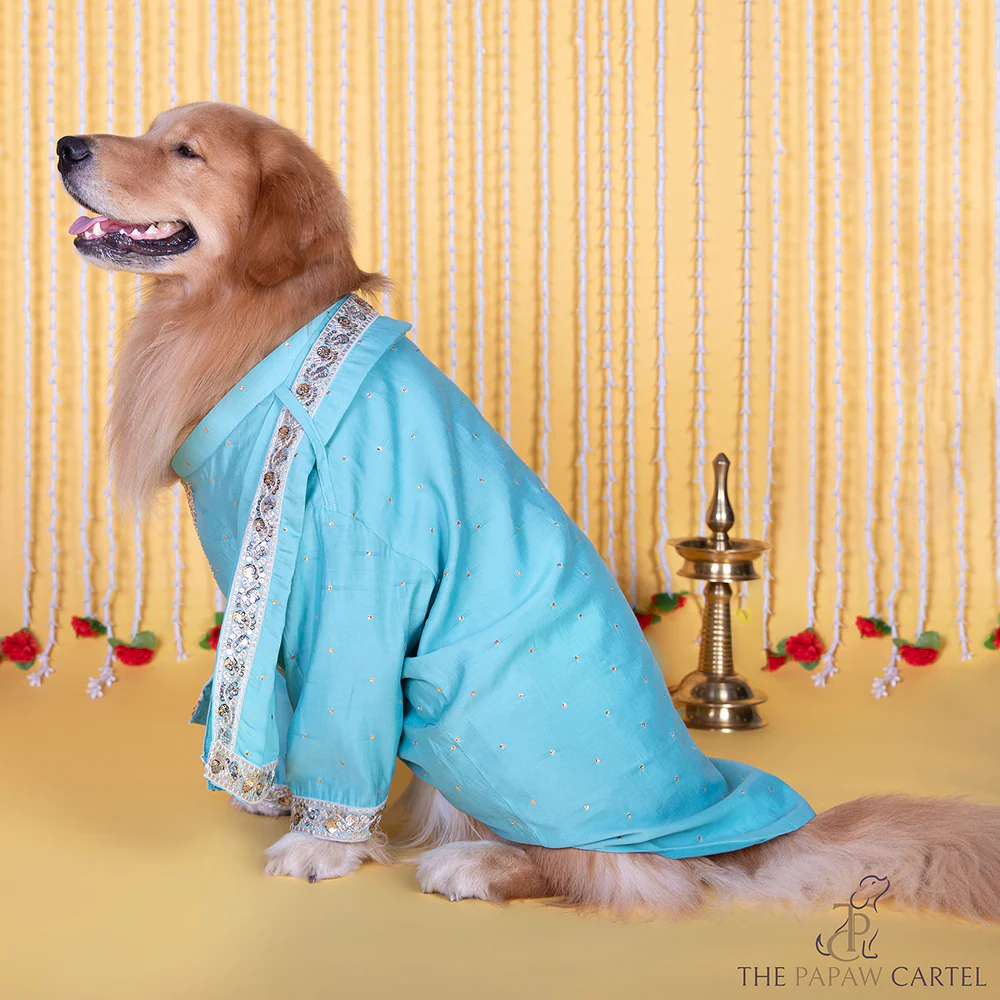 The Papaw Cartel Stylish Zardos Sherwani with Dupatta for Dogs & Cats (Blue) - Image 4