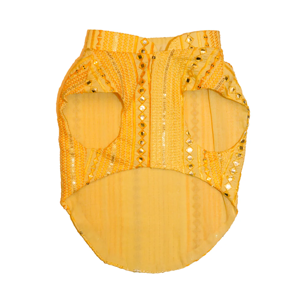 The Papaw Cartel Sunrise Koti Kurta Set with Mirror Embroidery for Dogs (Yellow) - Image 2