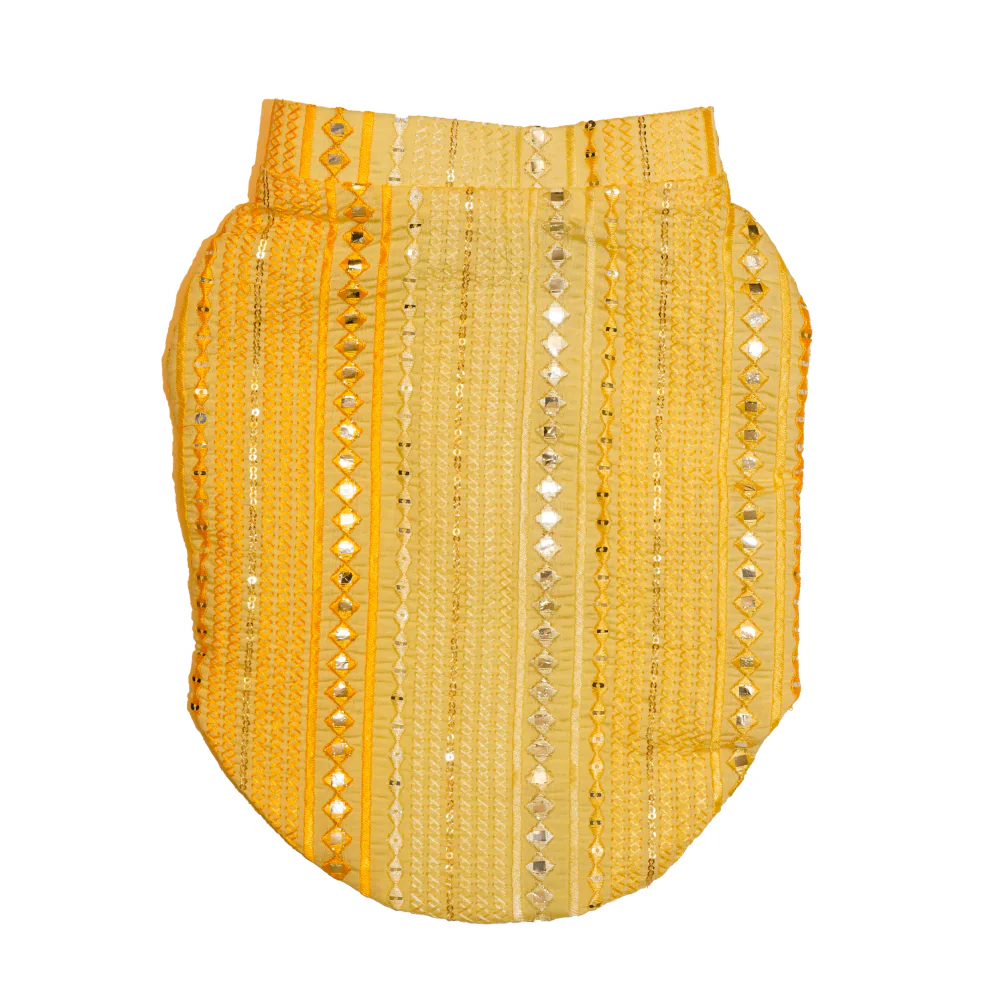The Papaw Cartel Sunrise Koti Kurta Set with Mirror Embroidery for Dogs (Yellow) - Image 4