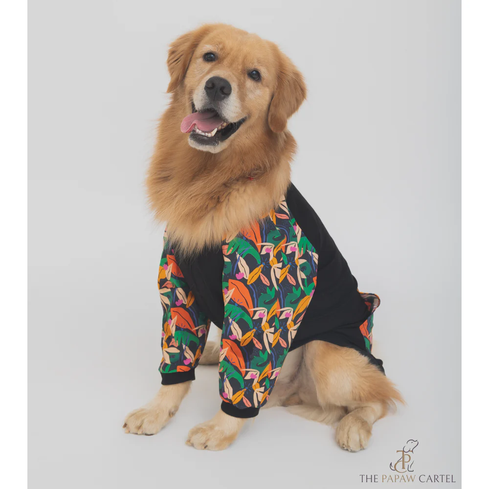 The Papaw Cartel Tropical Bomber Shacket for Dogs (Black) - Image 4