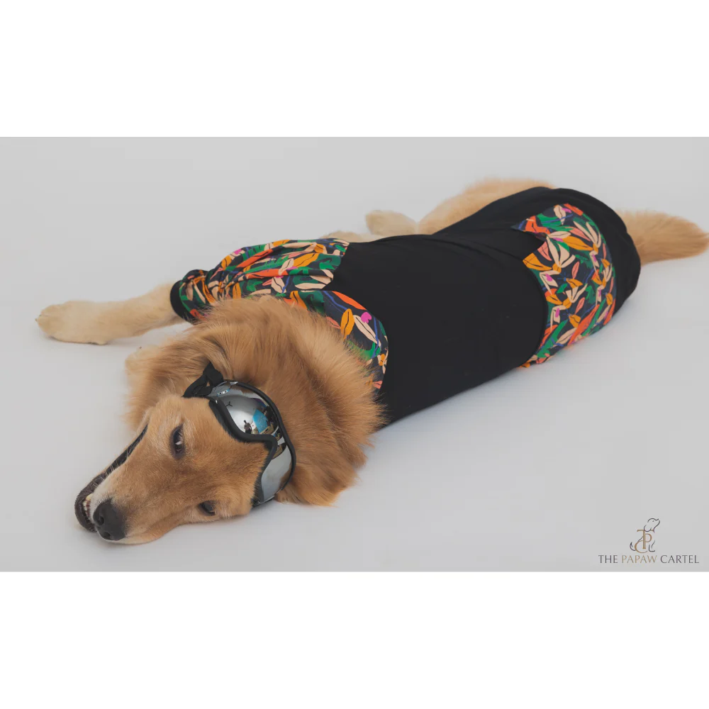 The Papaw Cartel Tropical Bomber Shacket for Dogs (Black) - Image 6