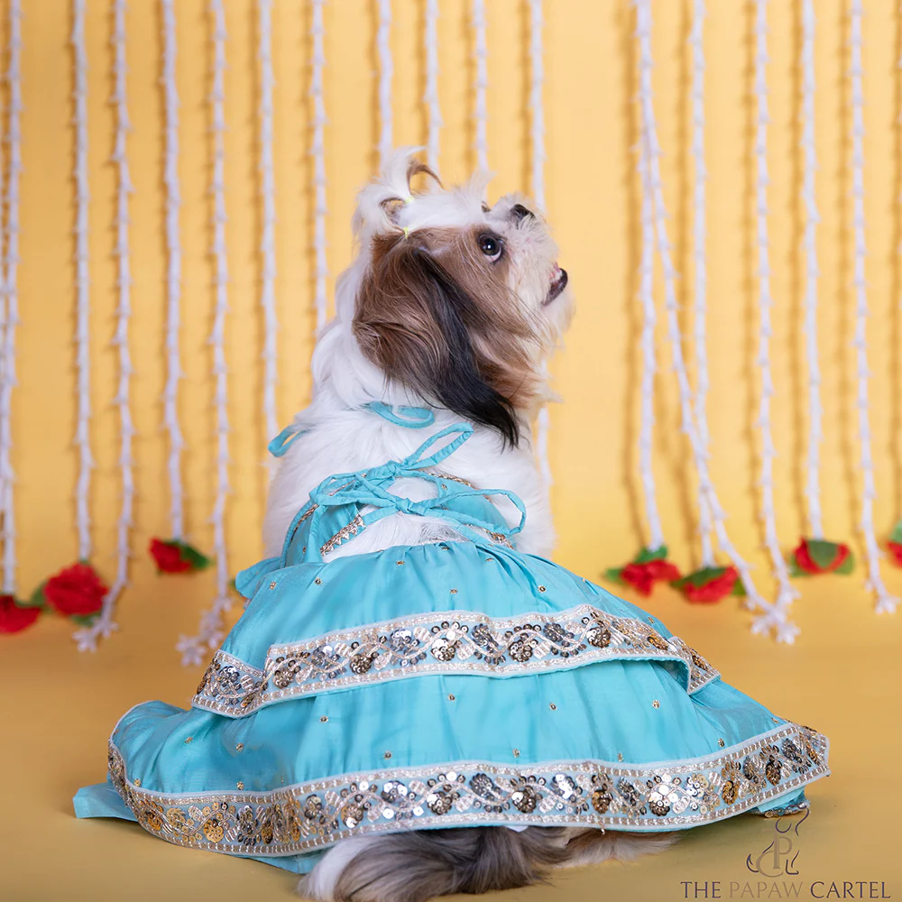 The Papaw Cartel Two Tiered Zardosi Lehenga With Stylish Choli for Dogs & Cats (Blue) - Image 3