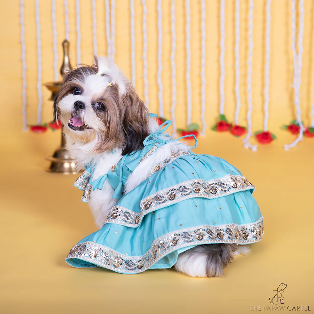 The Papaw Cartel Two Tiered Zardosi Lehenga With Stylish Choli for Dogs & Cats (Blue) - Image 4