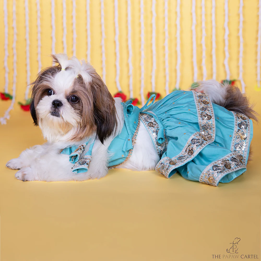 The Papaw Cartel Two Tiered Zardosi Lehenga With Stylish Choli for Dogs & Cats (Blue) - Image 6