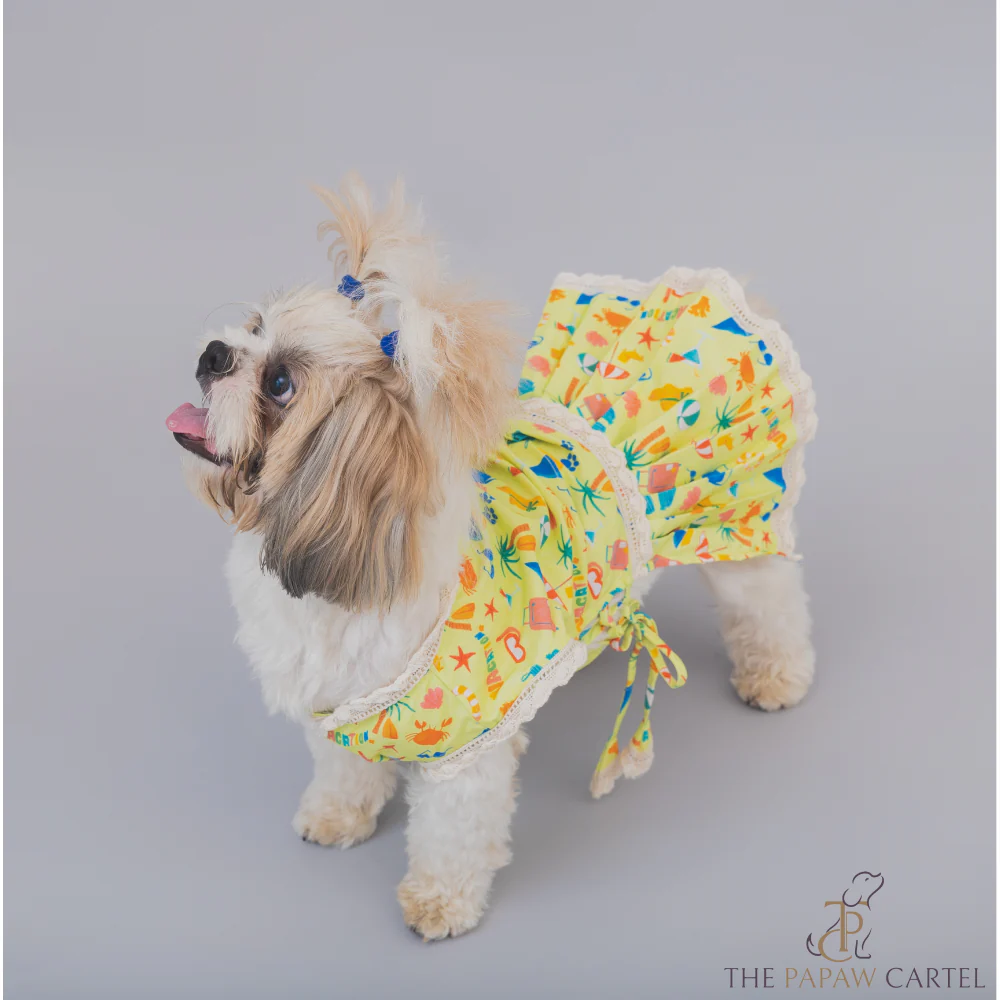 The Papaw Cartel Vacation Dress for Dogs (Lime Green) - Image 3