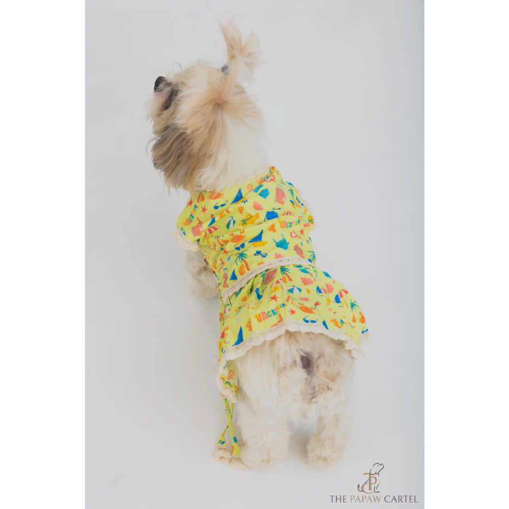 The Papaw Cartel Vacation Dress for Dogs (Lime Green) - Image 4