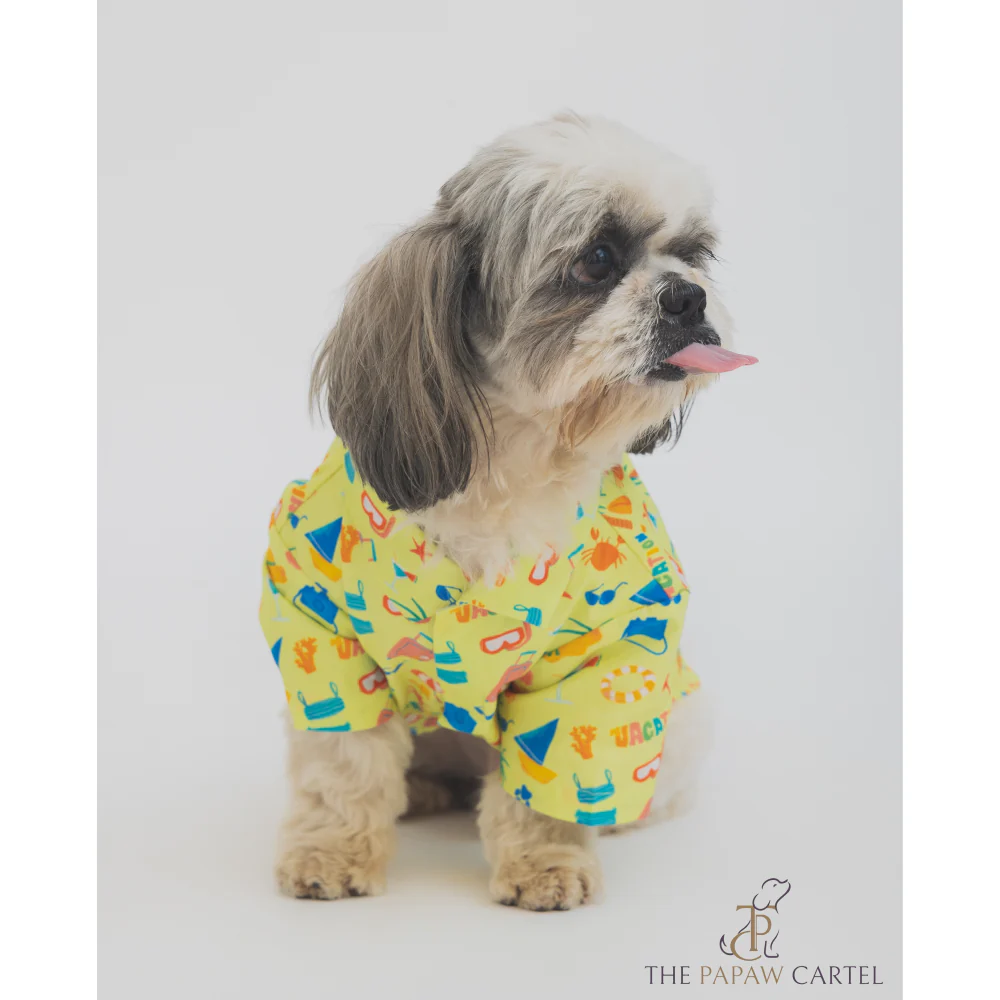 The Papaw Cartel Vacation Dress for Dogs (Lime Green) - Image 5