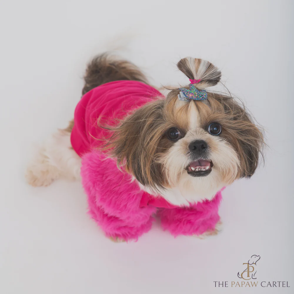 The Papaw Cartel Wrap In Fur Tshirt for Dogs (Hot Pink) - Image 3
