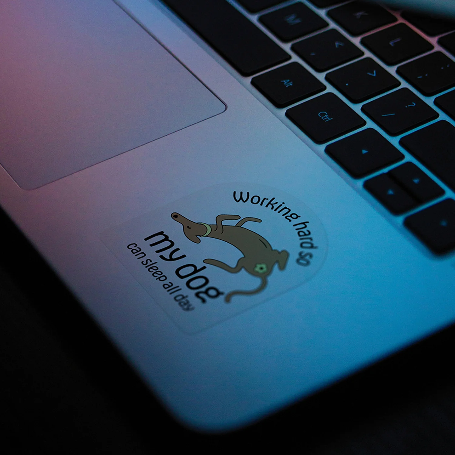 thePack Indie Dog Stickers - Image 8