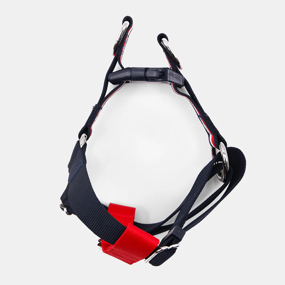 Tommy Hilfiger Blocked Harness for Dogs (Red/White) - Image 5