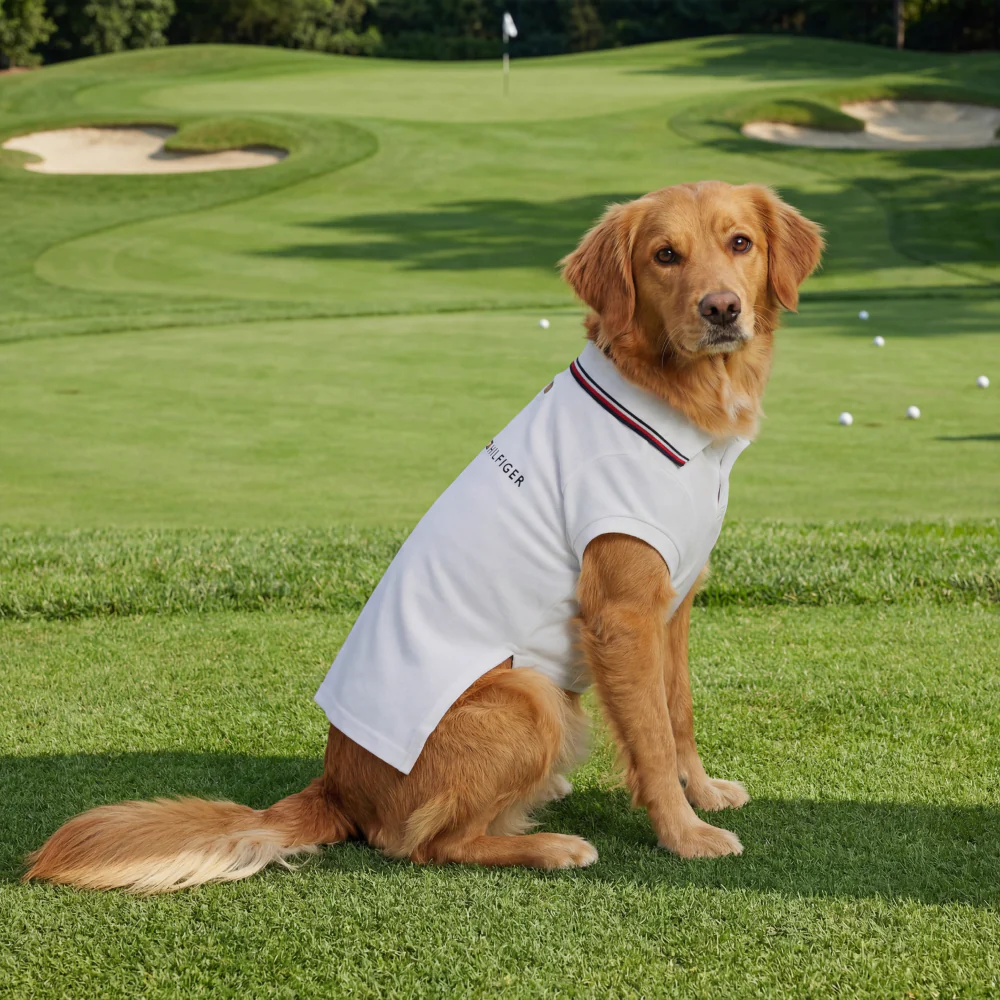 Tommy Hilfiger Heritage Polo Tshirt for Dogs (Optic White) - Image 2