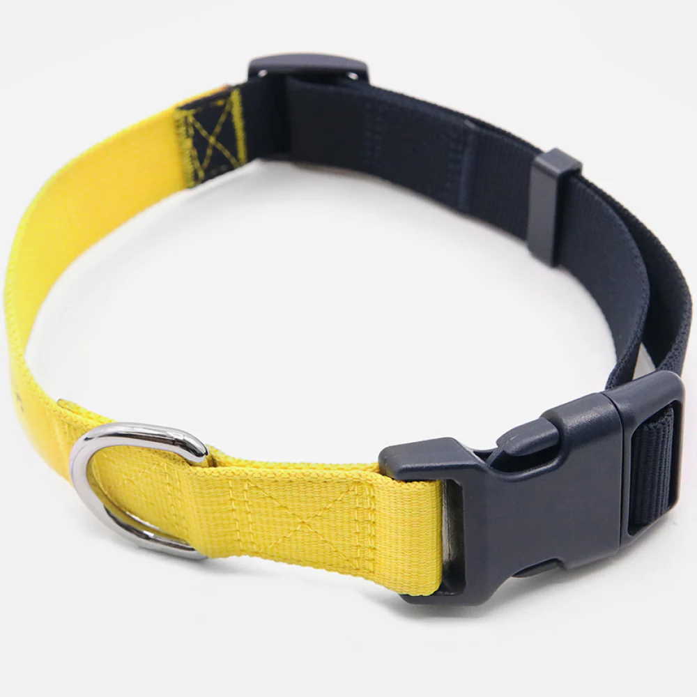 Tommy Hilfiger Webbing Collar for Dogs (Yellow) - Image 4