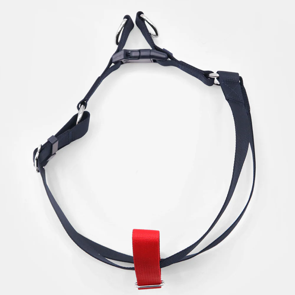Tommy Hilfiger Blocked Harness for Dogs (Red) - Image 4