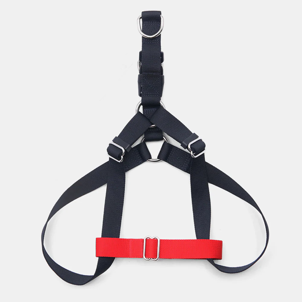 Tommy Hilfiger Blocked Harness for Dogs (Red) - Image 6