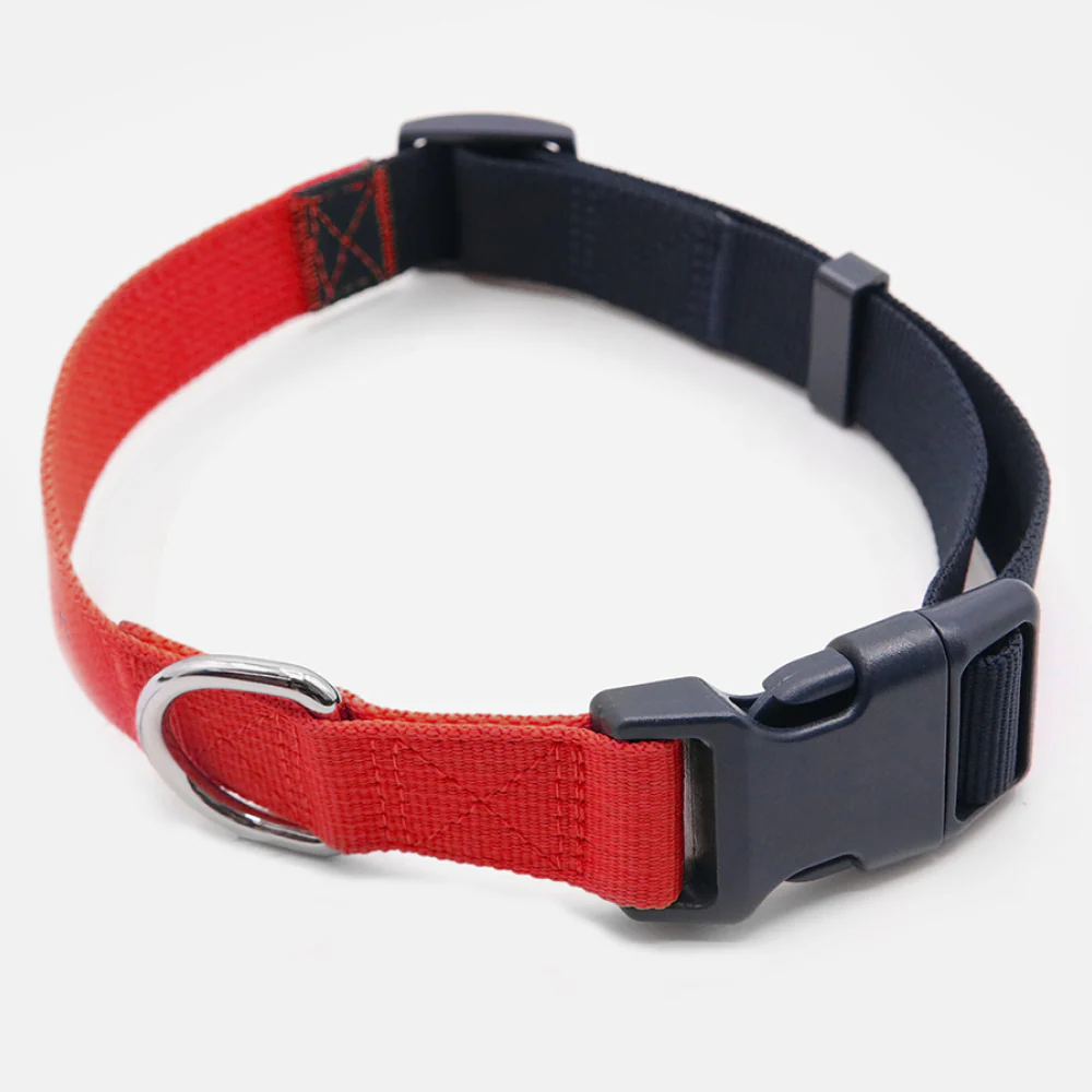 Tommy Hilfiger Webbing Collar for Dogs (Red) - Image 4