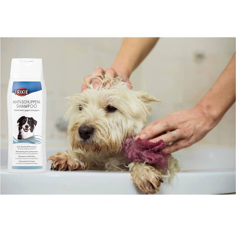 Trixie Anti Dandruff Shampoo for Dogs - Image 4
