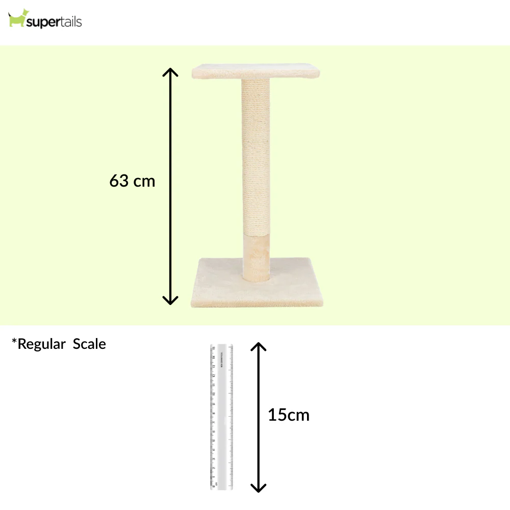 Trixie Baena scratching post for Cats (Beige) - Image 2