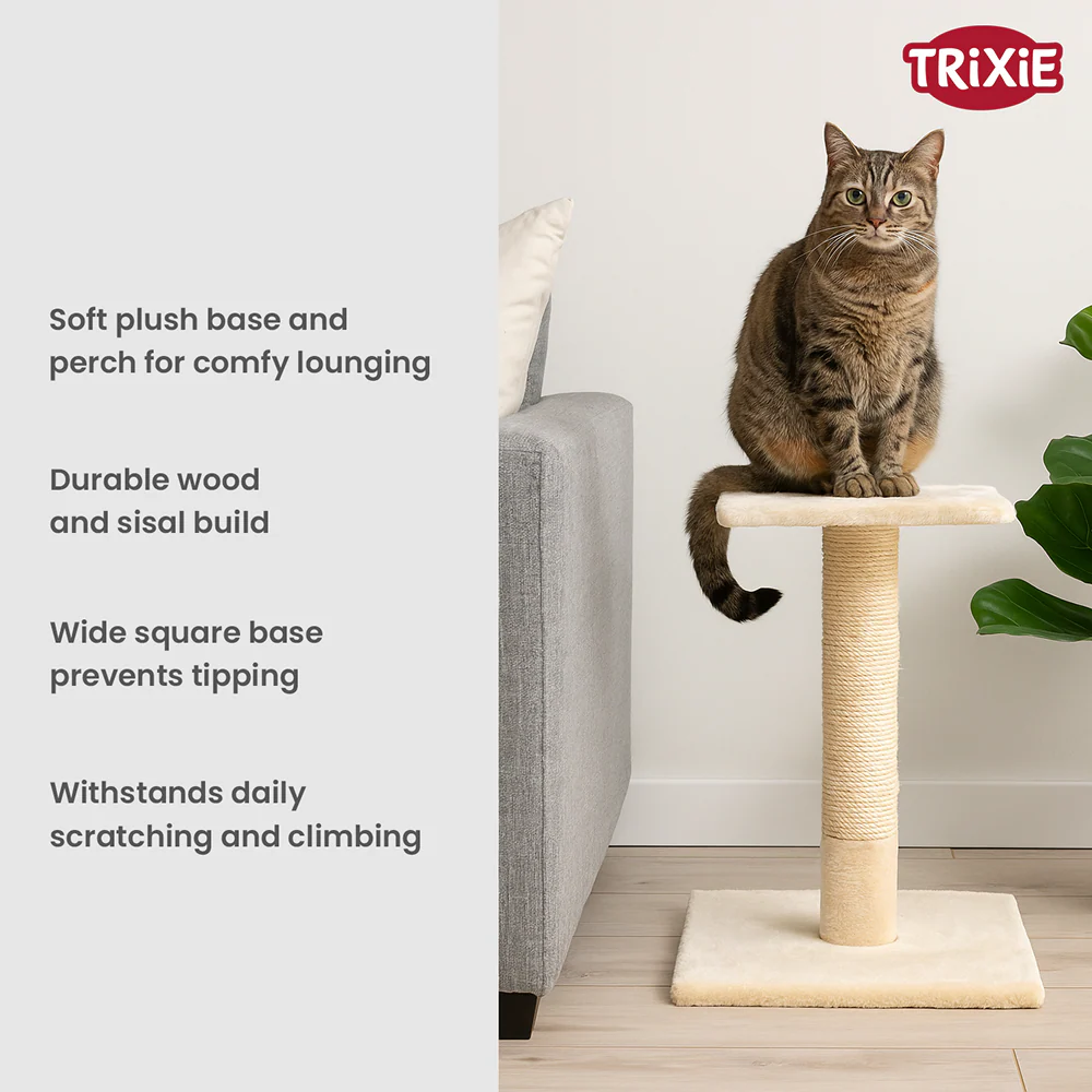 Trixie Baena scratching post for Cats (Beige) - Image 3