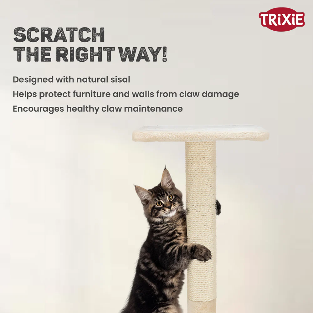 Trixie Baena scratching post for Cats (Beige) - Image 5