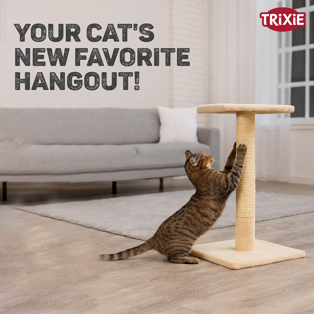 Trixie Baena scratching post for Cats (Beige) - Image 6