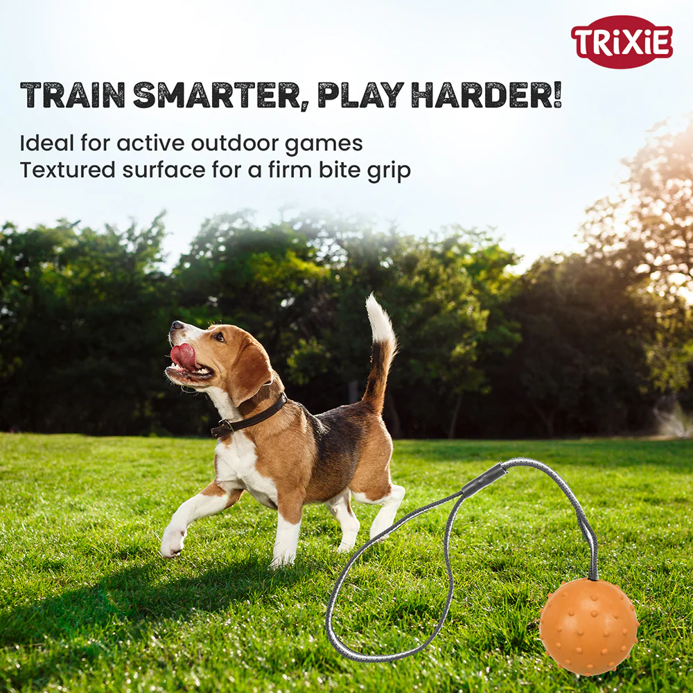 Trixie Ball on a Strap Toy for Dogs (Orange) - Image 3