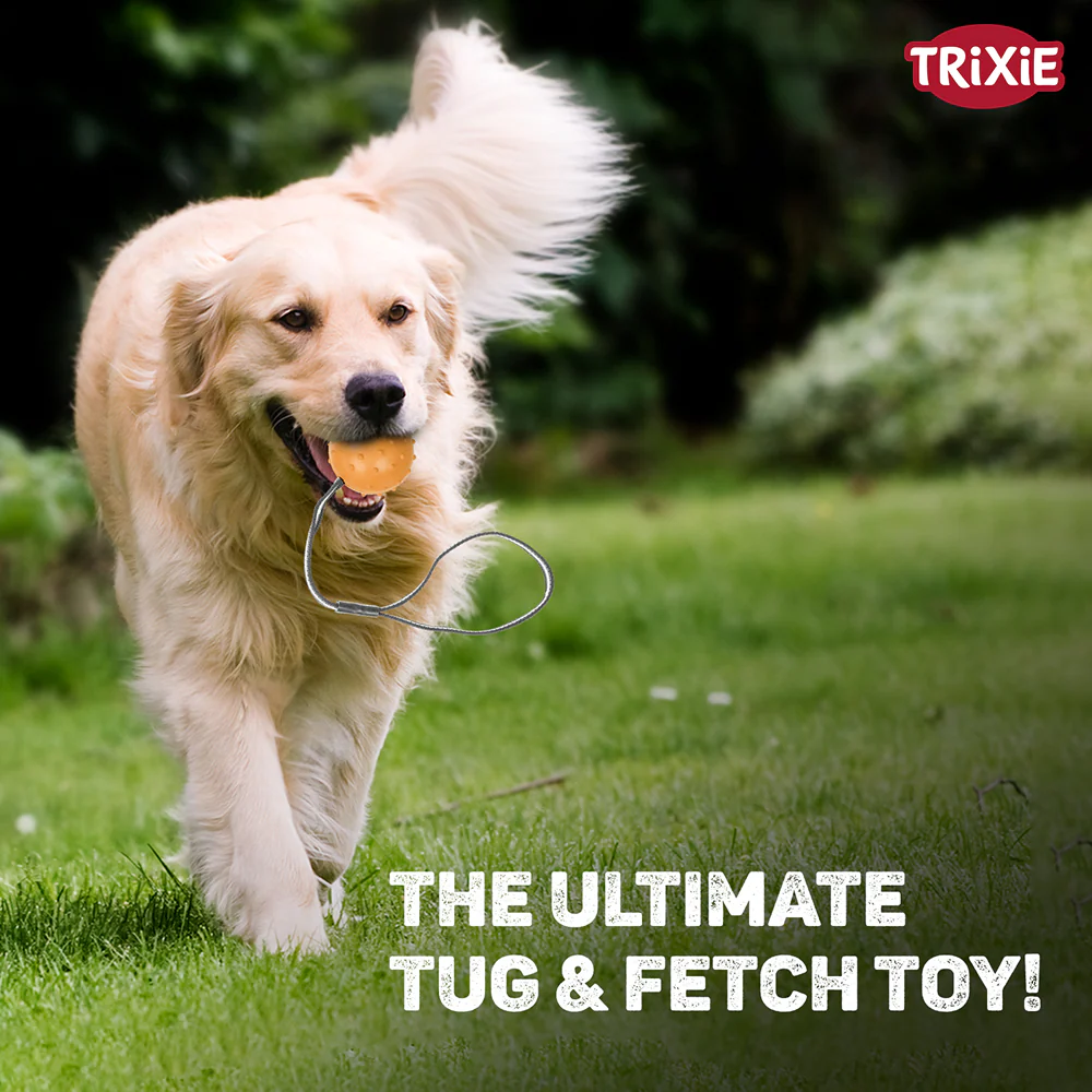 Trixie Ball on a Strap Toy for Dogs (Orange) - Image 4
