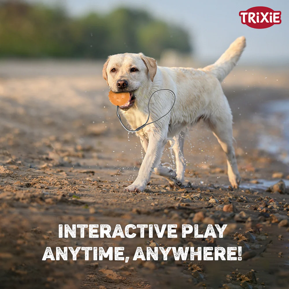Trixie Ball on a Strap Toy for Dogs (Orange) - Image 5