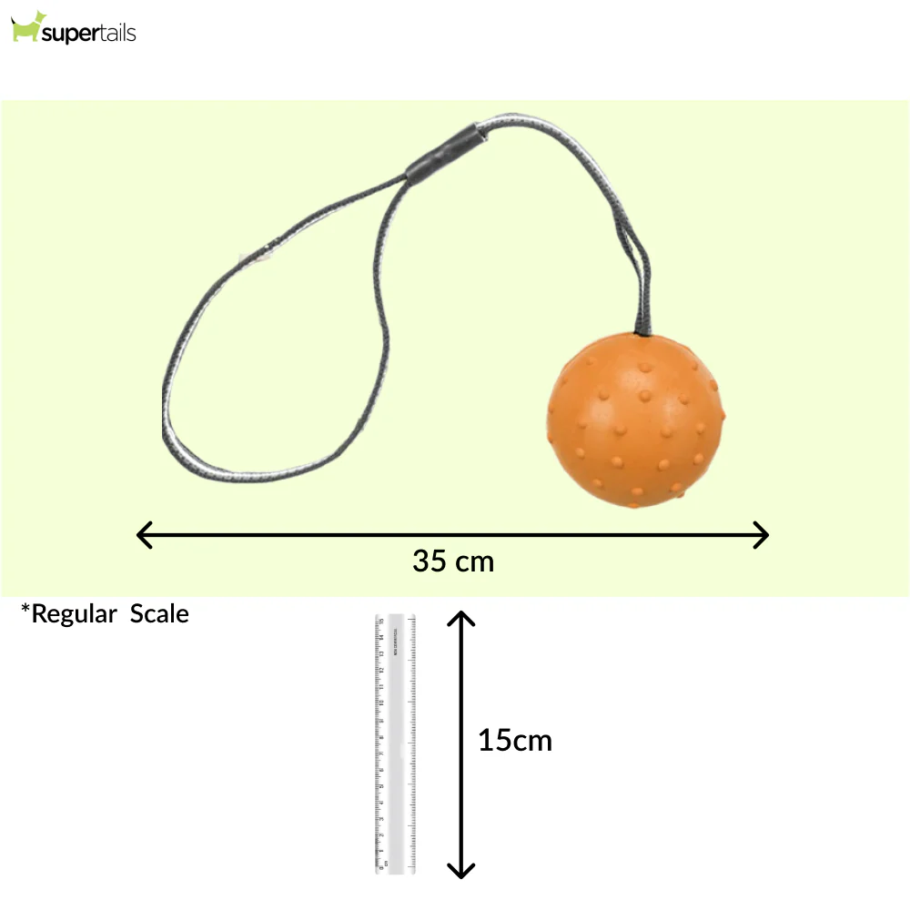 Trixie Ball on a Strap Toy for Dogs (Orange) - Image 6