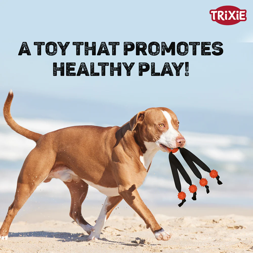Trixie Ball with Strap Legs for Dogs (Orange) - Image 5