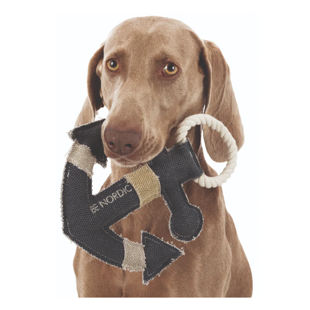 Trixie Be Nordic Anchor Toy for Dogs - Image 3