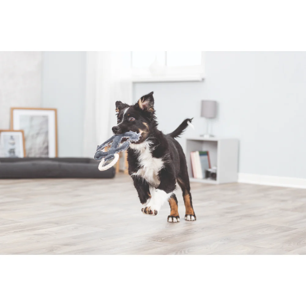 Trixie Be Nordic Anchor Toy for Dogs - Image 6
